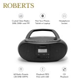 Roberts_ZOOMBOX4BK_FEAT