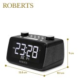 Roberts_ortus4b_dims